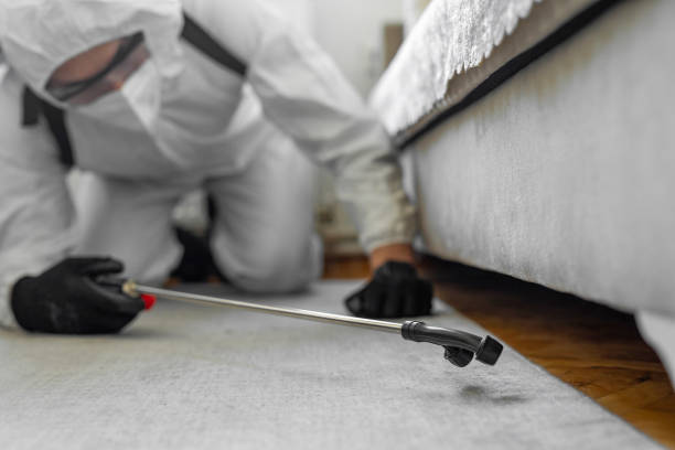 Professional Bed Bug Control technician working in Tonka Bay, MN